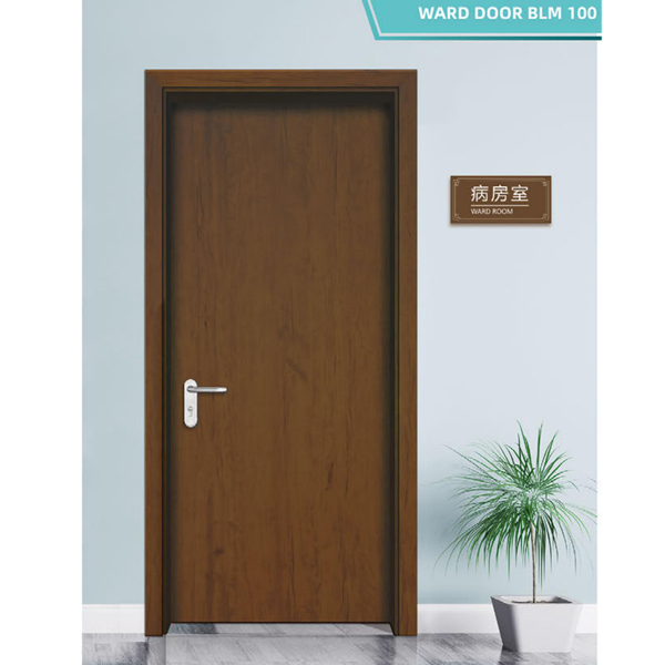 三榮醫(yī)用門(mén)圖片
